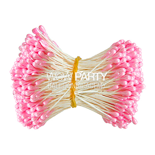 진주씨핑크 1묶음