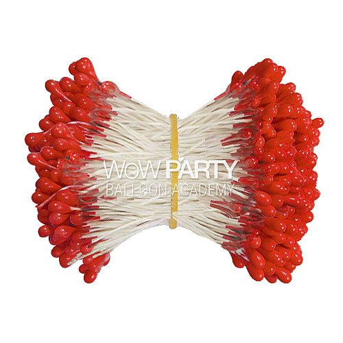 진주씨레드 1묶음