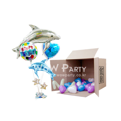 돌고래 인더박스