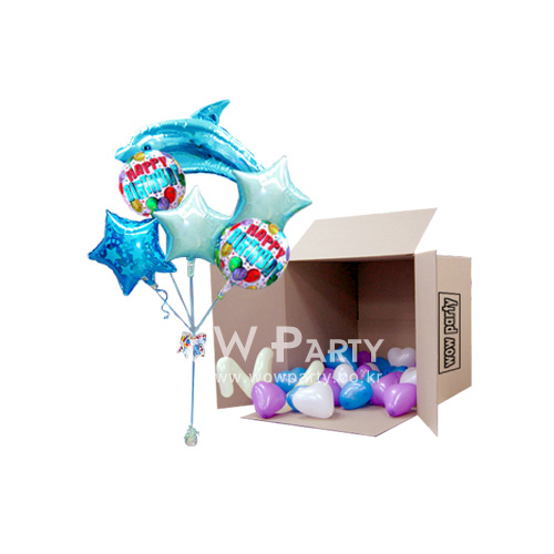 블루돌고래 인더박스