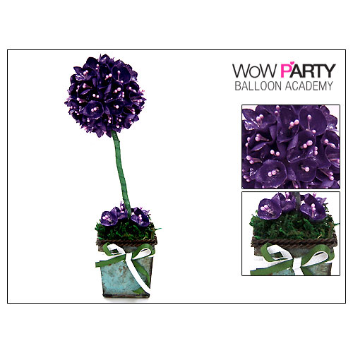 11/6(화)오전11시 풍선공예아티스트 나은경샘의 럭셔리 