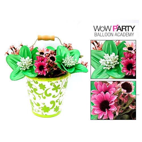 ［풍선공예대상수상자직강］11/8(목)오후3시 대한민국 풍선공예마크 김지연샘의〔화분공예］