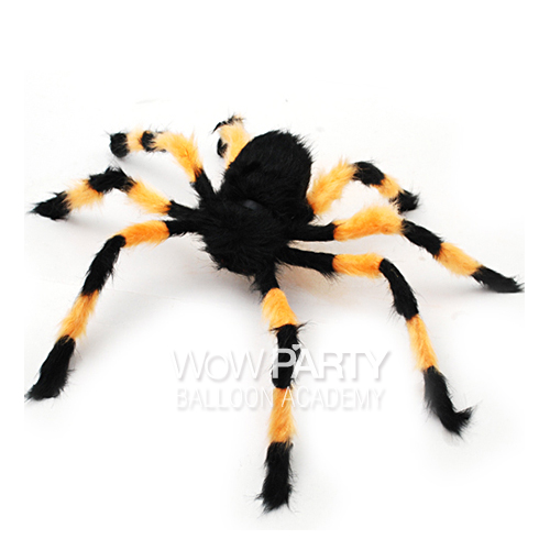 왕거미(오렌지)