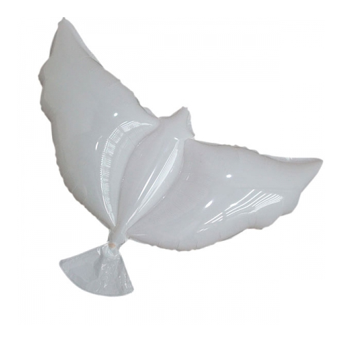 비둘기호일(백색) 