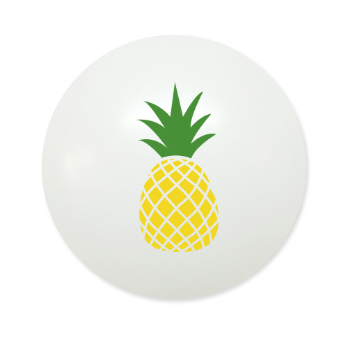 30센티 파인애플 10개