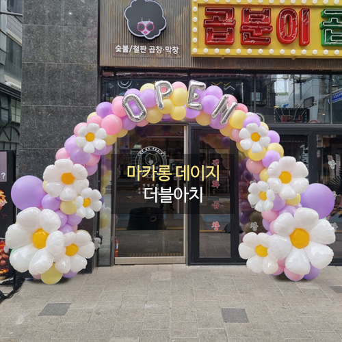 마카롱 데이지 더블아치